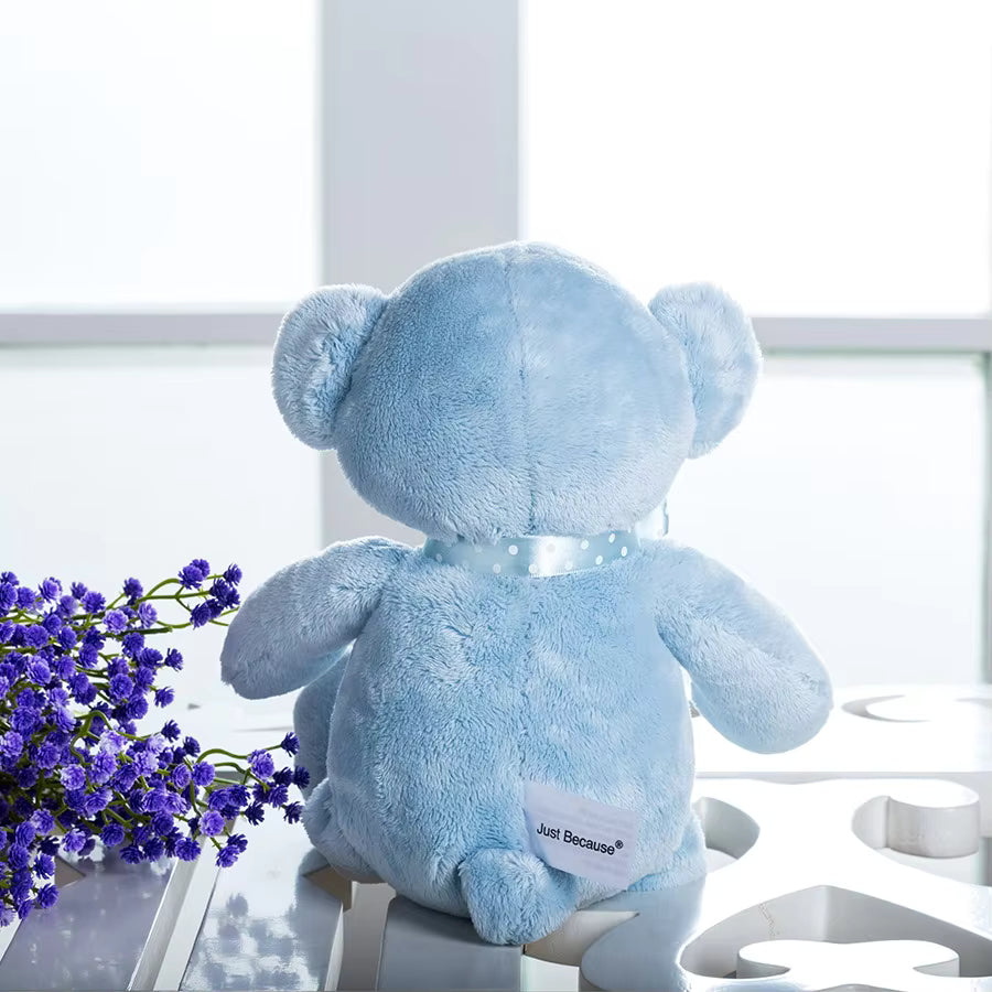Cute Bear Plush Toy - Assorted